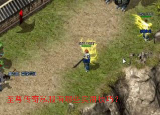 ������˽������Щʵ�ü��ɣ�