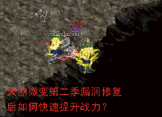 ��ɷ΢��ڶ���©���޸�����ο�������ս����