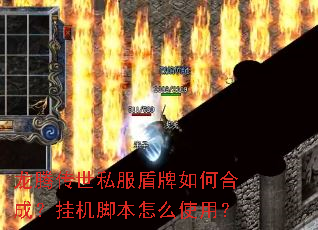 ���ڴ���˽��������κϳɣ��һ��ű���ôʹ�ã�