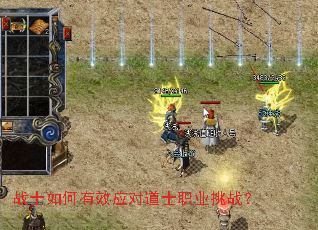 սʿ�����ЧӦ�Ե�ʿְҵ��ս��