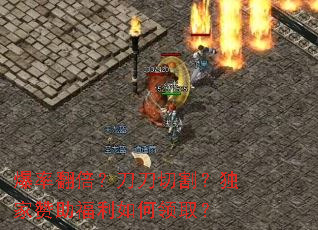 ���ʷ����������и�����������������ȡ��