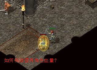 �����Ч������ɫѪ����