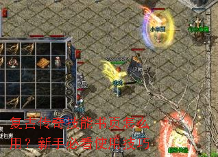 ���Ŵ��漼����ҳ��ô�ã����ֱؿ�ʹ�ü���