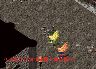 ������Ϸ��ο���������ɫ�ȼ���