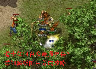 ��ʿ����ٻ���ǿ���ޣ���ϸ����������ɹ���