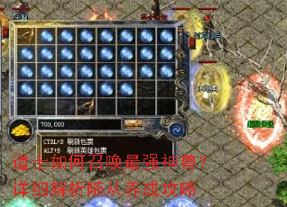 ��ʿ����ٻ���ǿ���ޣ���ϸ����������ɹ���