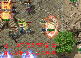 ��ʿ����ٻ���ǿ���ޣ���ϸ����������ɹ���