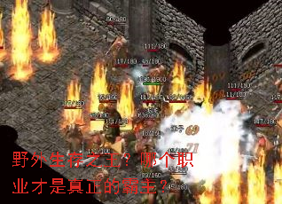 野外生存之王?哪个职业才是真正的霸主? 野外生存之王?哪个职业才是真正的霸主?