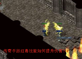 �������κ춾������������˺���