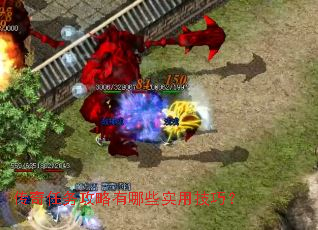 ��������������Щʵ�ü��ɣ�