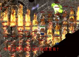 ����ʯĹ��������ο��ٷ�����