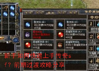 ������ο������ִ���sf��ǰ�ڹ��ɹ��Է���