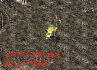 ʵ������˽�����漼����ô������ǿ��