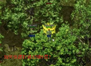 如何快速打通幻境9层? 如何快速打通幻境9层?