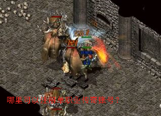 �������ע�ᵥְҵ�����˺ţ�