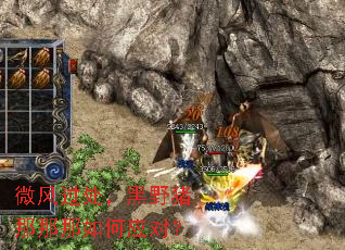 ΢���������Ұ�����������Ӧ�ԣ�