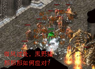 ΢���������Ұ�����������Ӧ�ԣ�