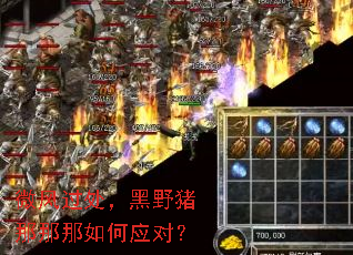 ΢���������Ұ�����������Ӧ�ԣ�