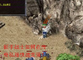 新手战士如何在传奇私服快速变强? 新手战士如何在传奇私服快速变强?