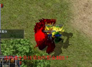 法师道士竞技场如何配合制胜? 法师道士竞技场如何配合制胜?