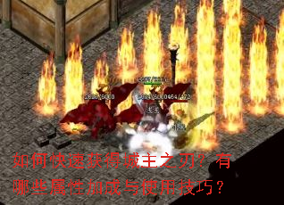 ��ο��ٻ�ó���֮�У�����Щ���Լӳ���ʹ�ü��ɣ�