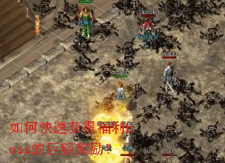 ��ο��ٻ�ø���boss�ľ޶����