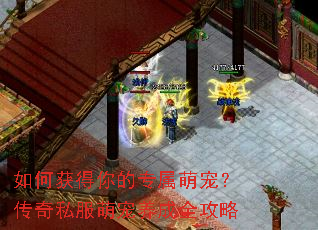 如何获得你的专属萌宠?传奇私服萌宠养成全攻略 如何获得你的专属萌宠?传奇私服萌宠养成全攻略