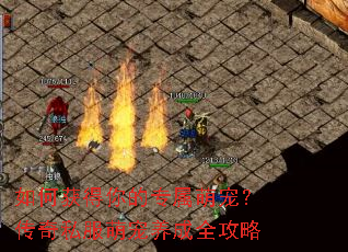 如何获得你的专属萌宠?传奇私服萌宠养成全攻略 如何获得你的专属萌宠?传奇私服萌宠养成全攻略