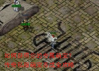 如何获得你的专属萌宠?传奇私服萌宠养成全攻略 如何获得你的专属萌宠?传奇私服萌宠养成全攻略