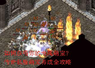 ��λ�����ר���ȳ裿����˽���ȳ�����ȫ����