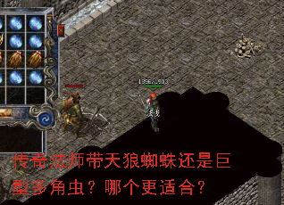 传奇法师带天狼蜘蛛还是巨型多角虫?哪个更适合? 传奇法师带天狼蜘蛛还是巨型多角虫?哪个更适合?