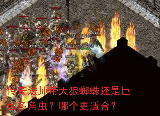 传奇法师带天狼蜘蛛还是巨型多角虫?哪个更适合? 传奇法师带天狼蜘蛛还是巨型多角虫?哪个更适合?