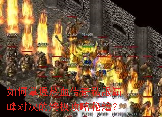 ���������Ѫ����˽���۷�Ծ����ռ������ؼ���