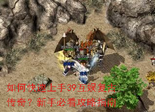 ��ο�������39���鸴�Ŵ��棿���ֱؿ�����ָ��