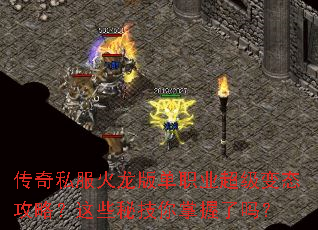 ����˽�������浥ְҵ������̬���ԣ���Щ�ؼ�����������