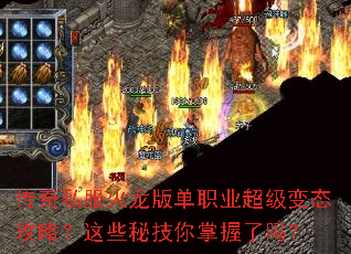 ����˽�������浥ְҵ������̬���ԣ���Щ�ؼ�����������