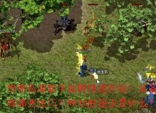 传奇私服新手如何快速升级?装备获取有哪些技巧?PK制胜秘诀是什么? 传奇私服新手如何快速升级?装备获取有哪些技巧?PK制胜秘诀是什么?