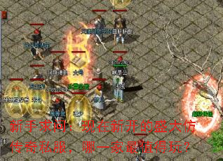 新手求问:现在新开的盛大仿传奇私服,哪一家最值得玩? 新手求问:现在新开的盛大仿传奇私服,哪一家最值得玩?