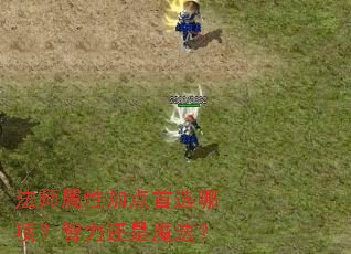 法师属性加点首选哪项?智力还是魔法? 法师属性加点首选哪项?智力还是魔法?