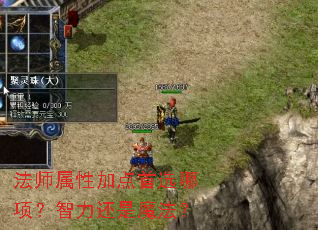 法师属性加点首选哪项?智力还是魔法? 法师属性加点首选哪项?智力还是魔法?