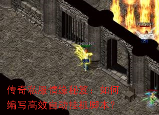 ����˽����Ե���ţ���α�д��Ч�Զ��һ��ű���