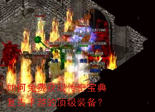 �����ѻ�ȡ���汦�临�����εĶ���װ����