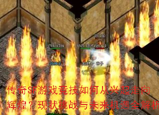 传奇SF游戏竞技如何从兴起走向辉煌?现状挑战与未来机遇全解析 传奇SF游戏竞技如何从兴起走向辉煌?现状挑战与未来机遇全解析