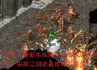 �����˲�������ο������վ����񹦣��ݺὭ���ر���������Щ��