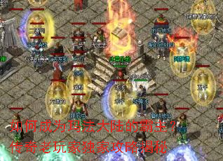 ��γ�Ϊ�귨��½�İ�������������Ҷ��ҹ��Խ���