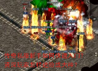 ����˽��������ο������ţ���������������׳ɴ���