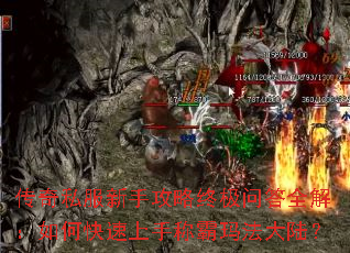 ����˽�����ֹ����ռ��ʴ�ȫ�⣺��ο������ֳư��귨��½��