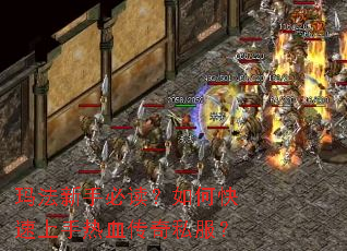 �귨���ֱض�����ο���������Ѫ����˽����