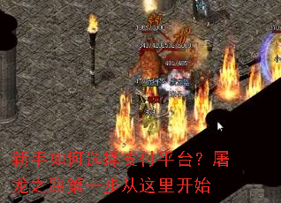 �������ѡ��֧��ƽ̨������֮·��һ�������￪ʼ