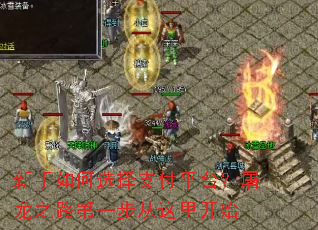 �������ѡ��֧��ƽ̨������֮·��һ�������￪ʼ